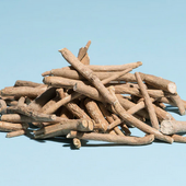 KSM-66® Ashwagandha