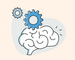 <p>Support Memory &<br/>Concentration</p>